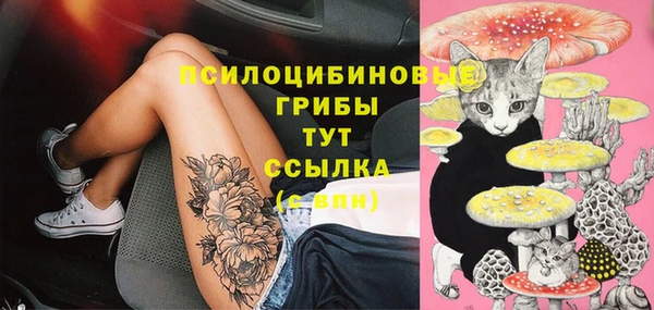 марки nbome Аркадак