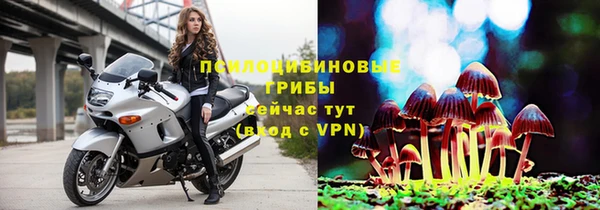 гидропоника Армянск