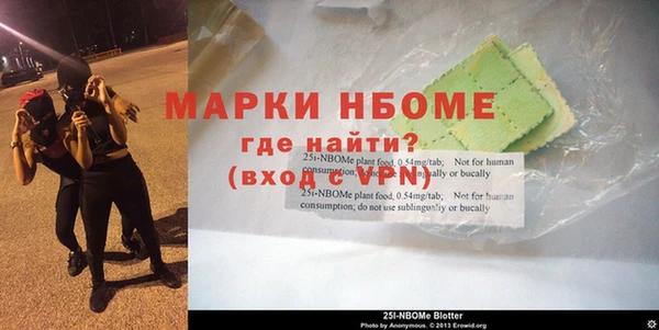 прущие грибы Пересвет